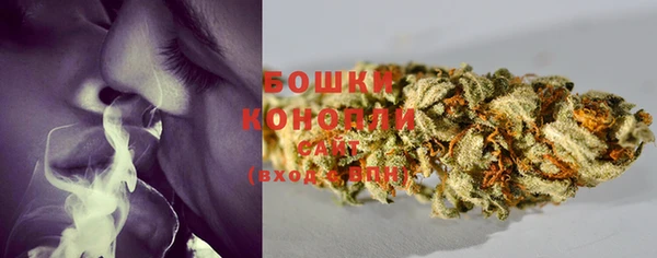 бошки Нефтегорск