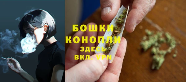 крисы Нея