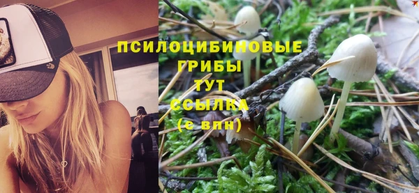 СК Нефтекумск