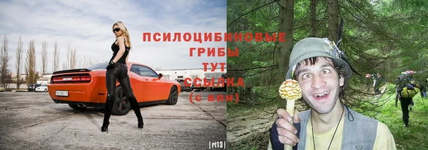 бошки Нефтегорск