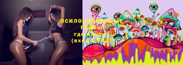 крисы Нея